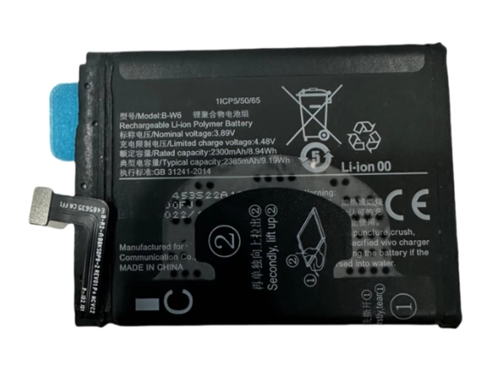 VIVO B-W6 Batería
