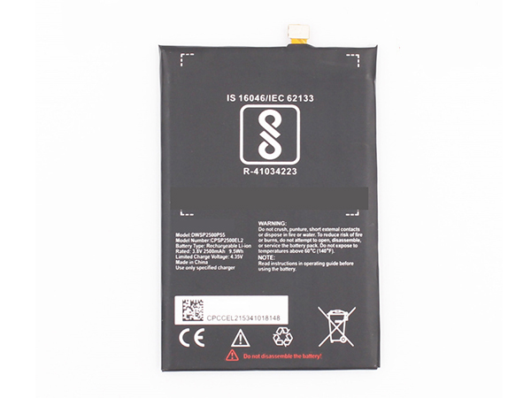 Panasonic DWSP2500P55 Batería