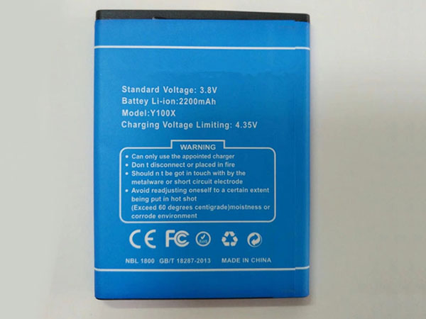Doogee Y100X Batería